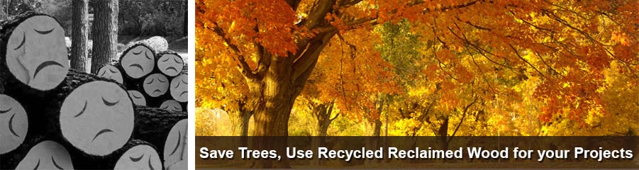 Using Reclaimed Flooring Saves Trees